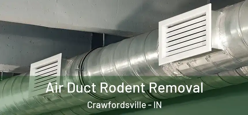 Air Duct Rodent Removal Crawfordsville - IN