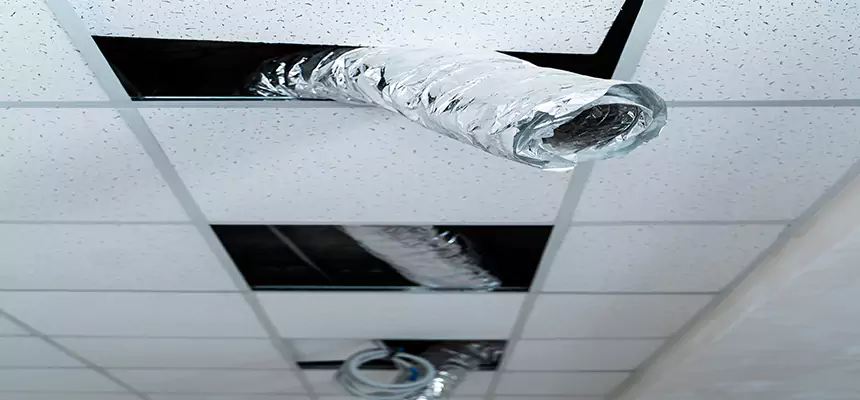 Our Air Duct Pet Hair Removal Services in Crawfordsville, IN