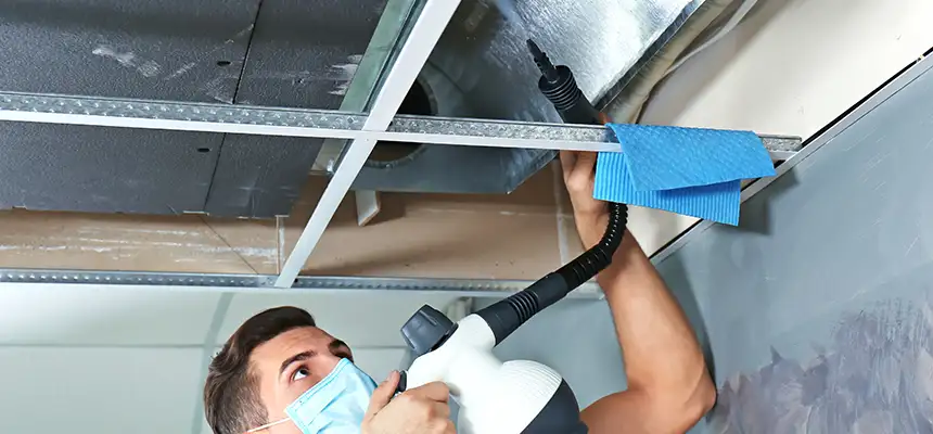 Our Air Duct Rodent Removal Services in Crawfordsville, IN