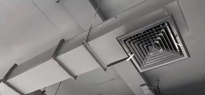 Our Rodent Droppings In Vents Services in Crawfordsville, IN