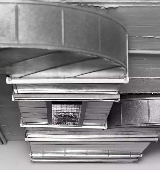 Professional Air Duct Pest Removal in Crawfordsville, IN