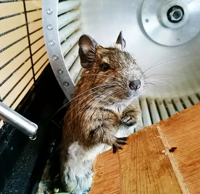 Why Homeowners & Businesses Trust Us Crawfordsville, IN